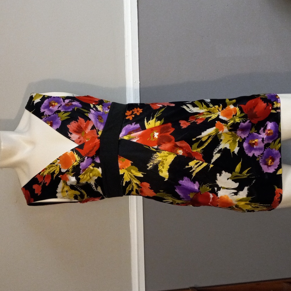 xxi Multicolored, Floral, Deep V Front and Zip Back Dress